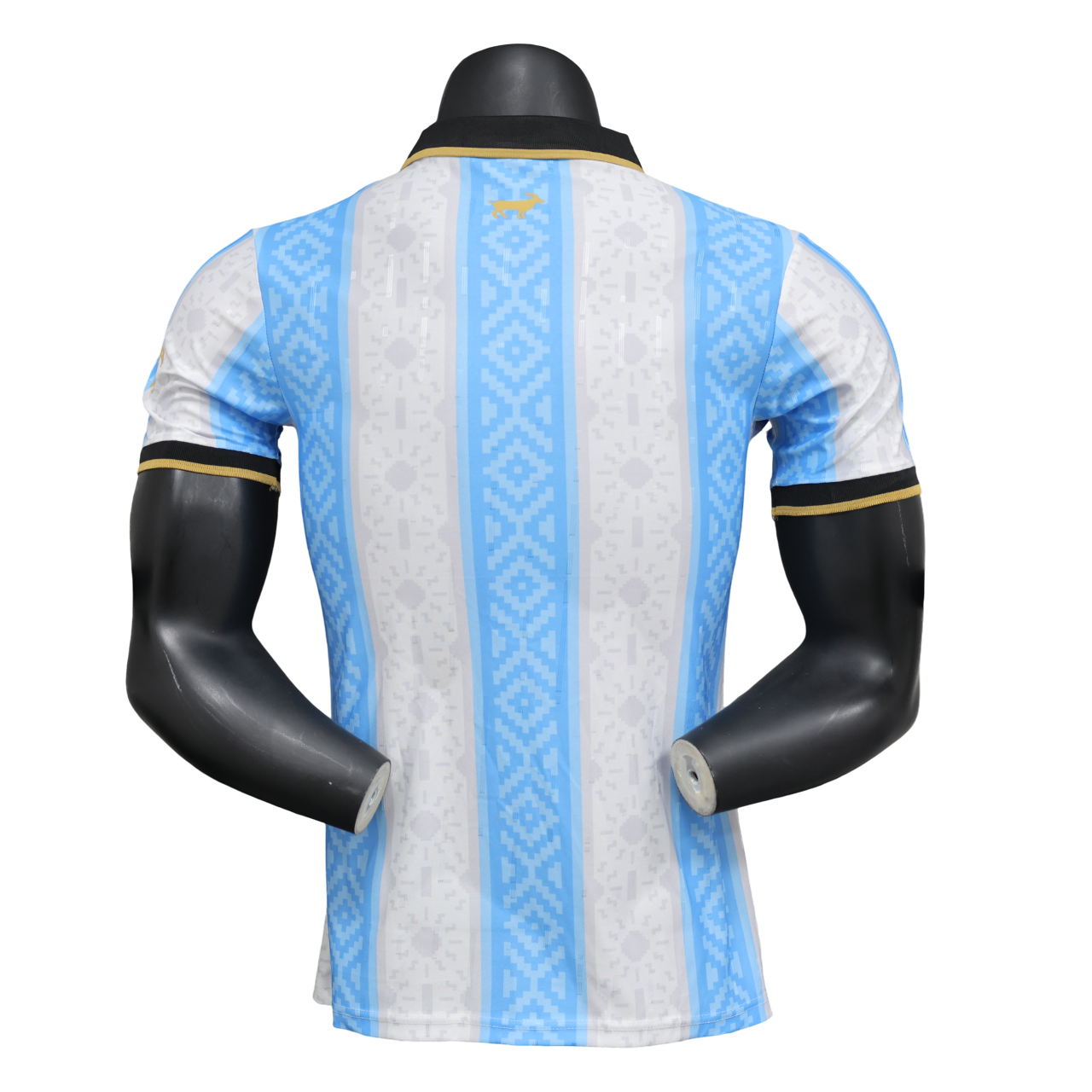 Argentina Special Jersey 2025